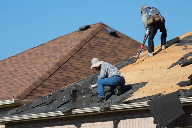 Best Roof Coating and Sealing  in Fletcher, NC